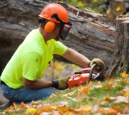 tree services Corfu